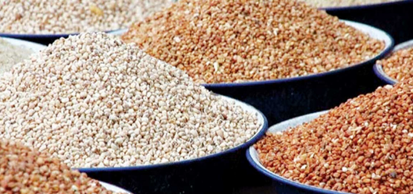  EU Ban: Nigeria Losses Million To Beans Exportation