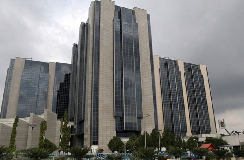  Economy: Highlights Of CBN Intervention In 2020