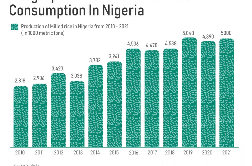  Infographics: Rice Production And Consumption In Nigeria