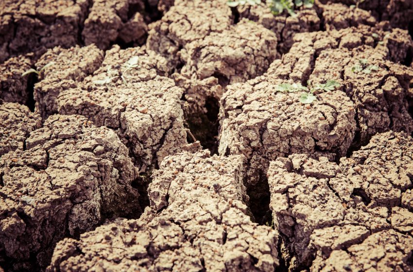  33% Of Global Droughts Occurs In Africa