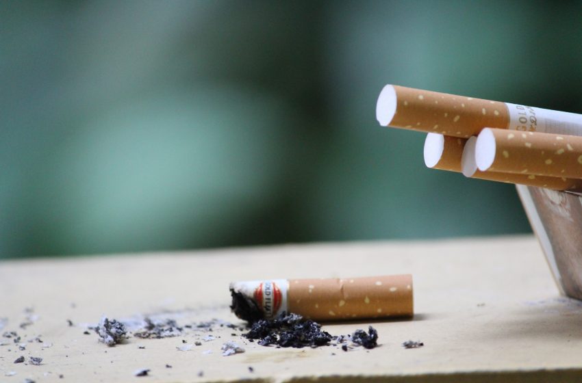  How Tobacco Industry Is Causing Huge Environmental Damage
